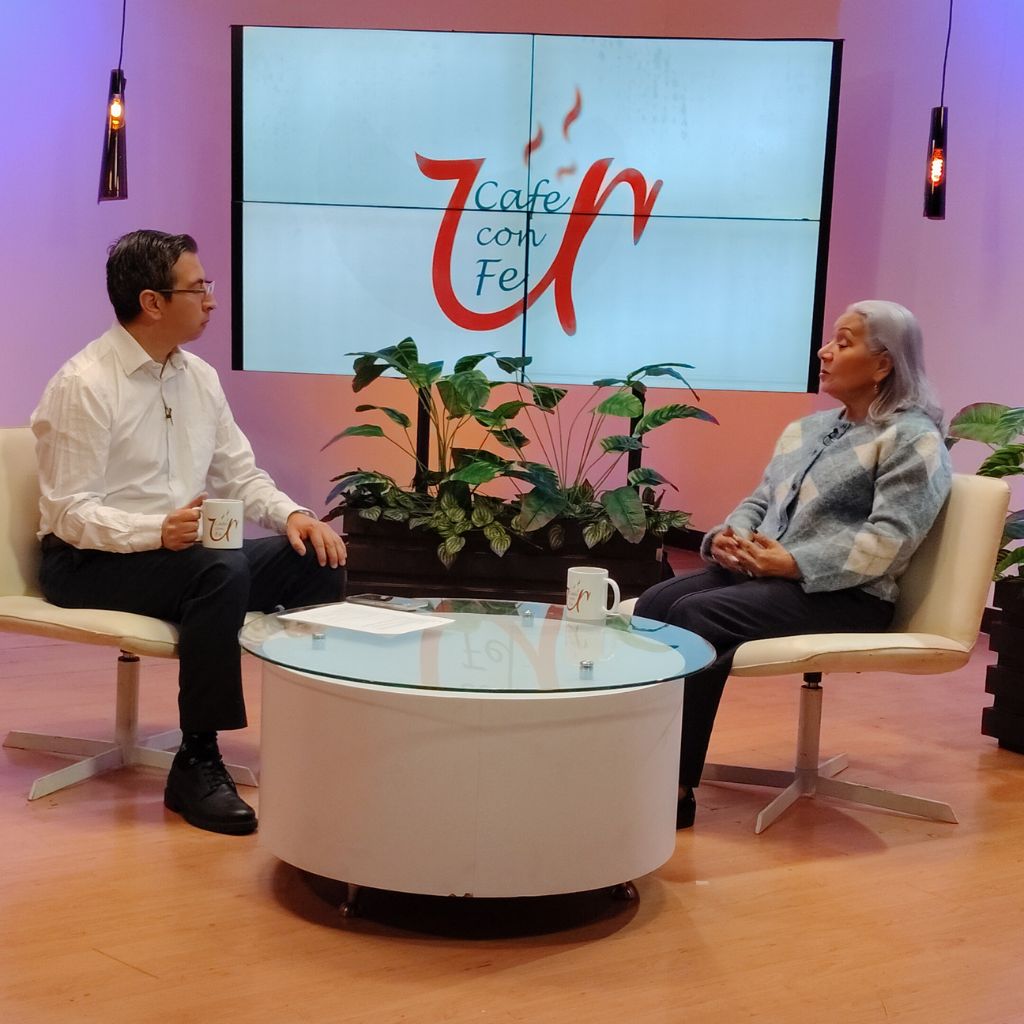 carrusel pagina web (3)